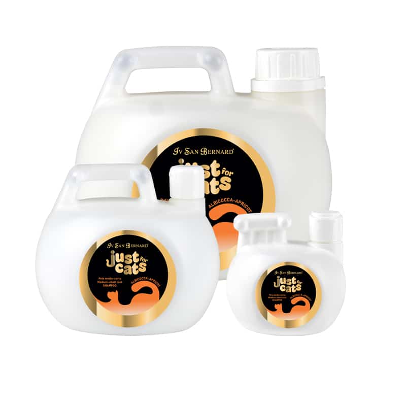 APRICOT SHAMPOO