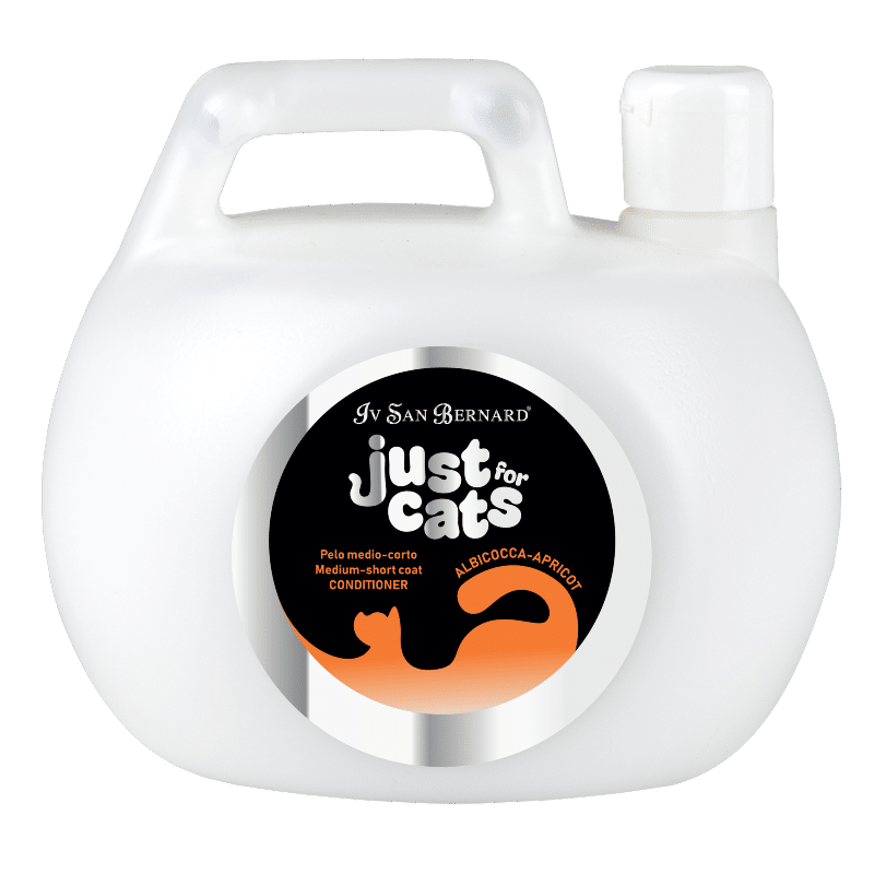 APRICOT CONDITIONER