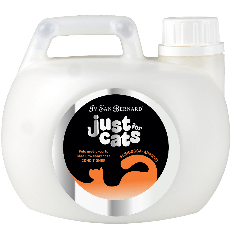 APRICOT CONDITIONER