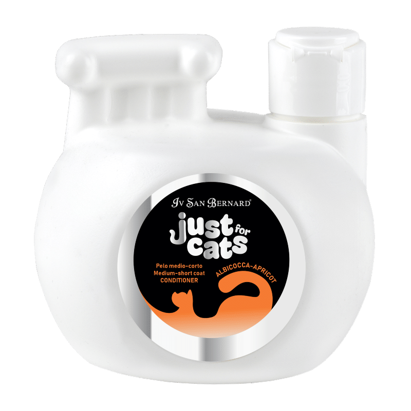 APRICOT CONDITIONER