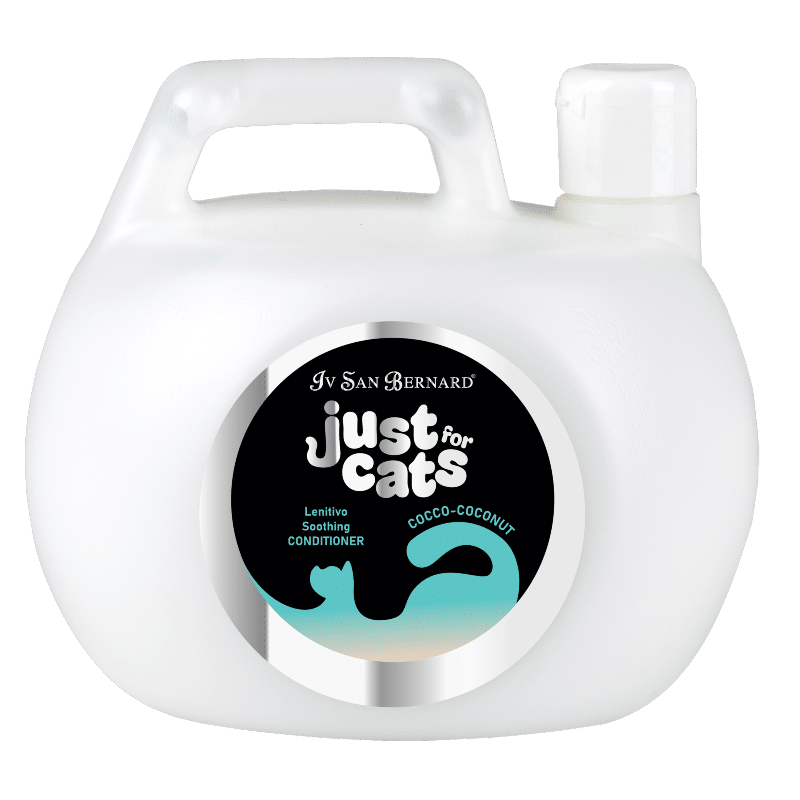 COCONUT CONDITIONER