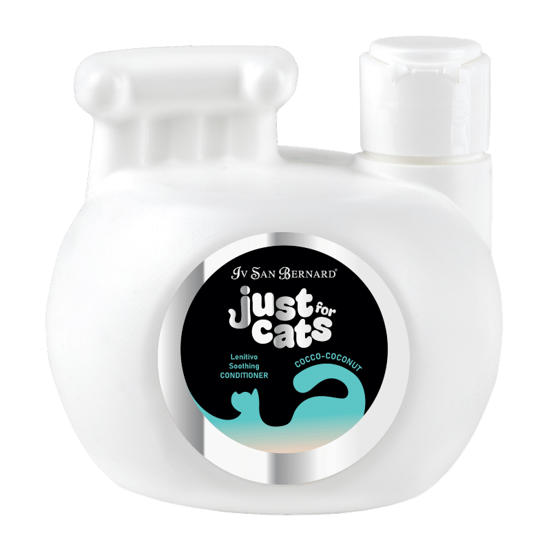COCONUT CONDITIONER