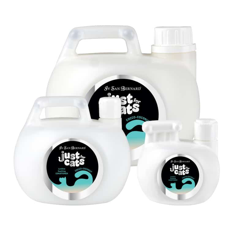 COCONUT CONDITIONER