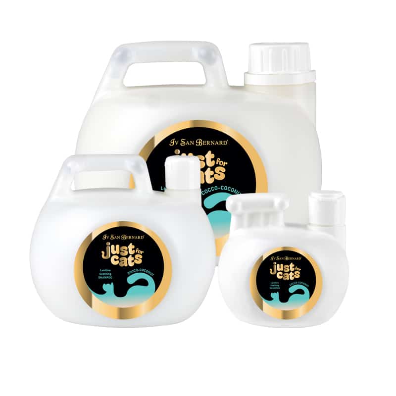 COCONUT SHAMPOO