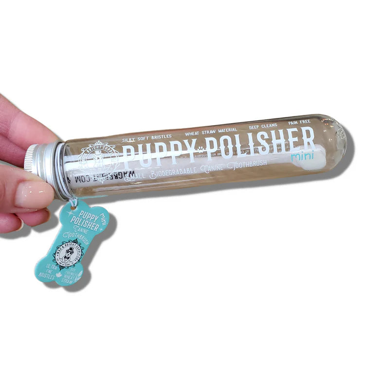 Puppy Polisher Eco Toothbrush