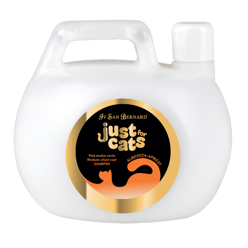 APRICOT SHAMPOO