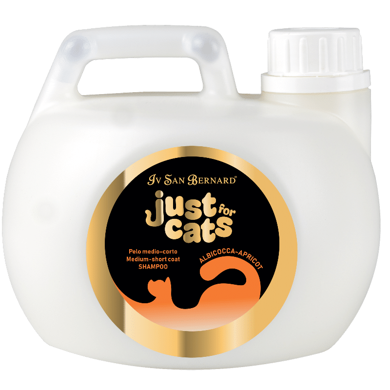 APRICOT SHAMPOO