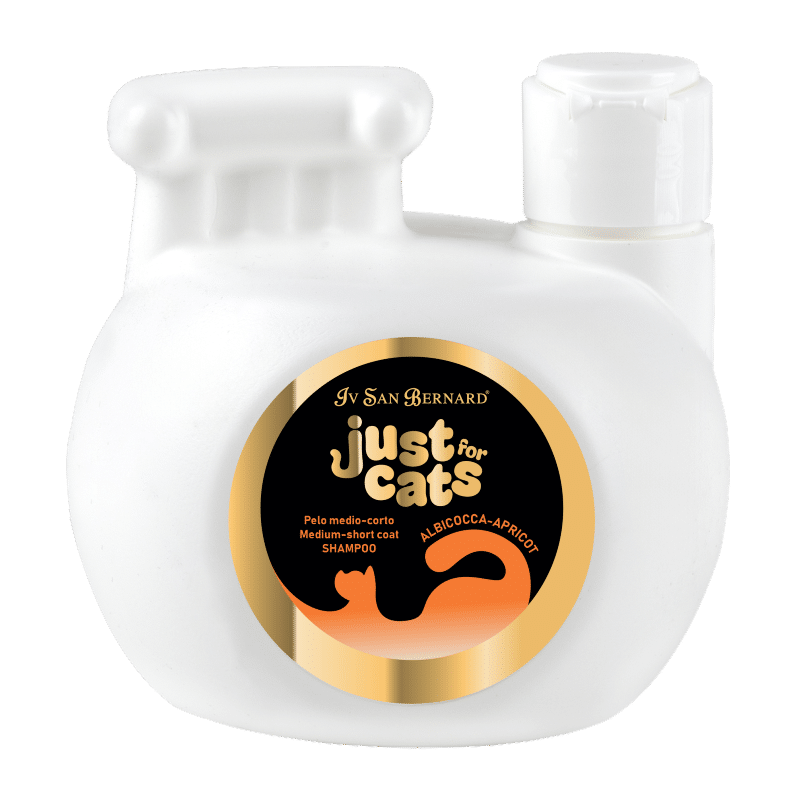 APRICOT SHAMPOO