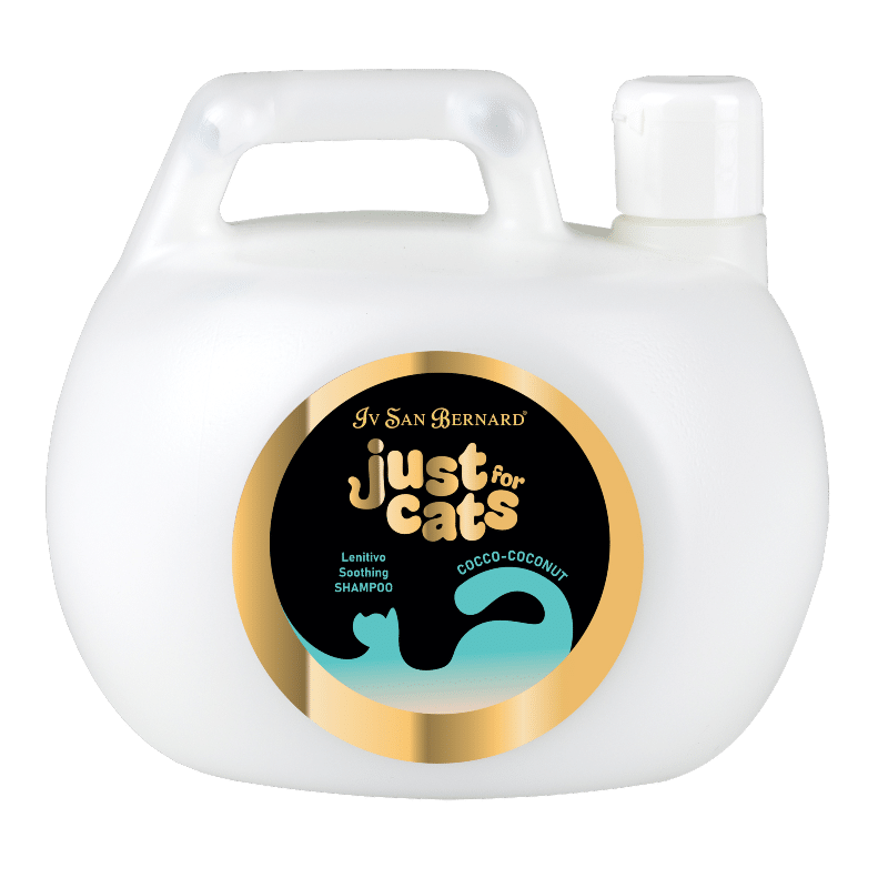 COCONUT SHAMPOO