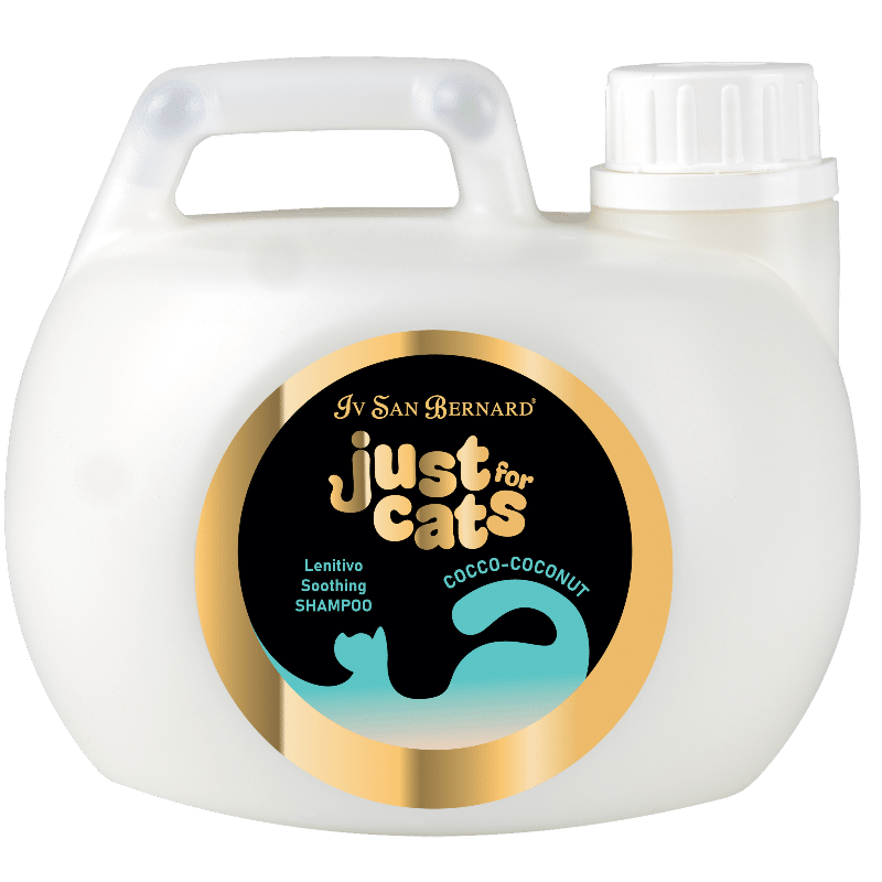 COCONUT SHAMPOO